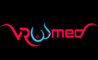 VRoomed VR Porn Studio